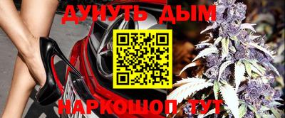 прущие крисы Заводоуковск