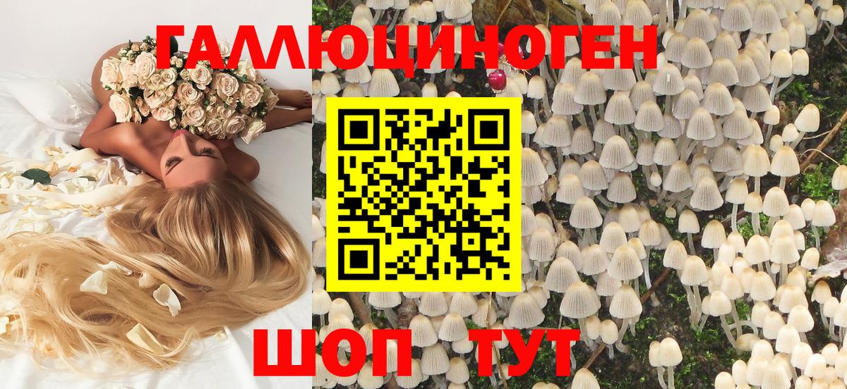 что такое наркотик  Вход с VPN  Кинель  Галлюциногенные грибы Magic Shrooms 